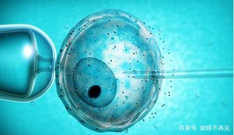 供卵代怀包生男孩机构